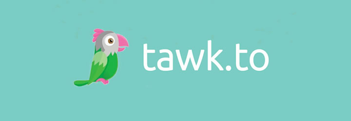 tawk.to Live Chat